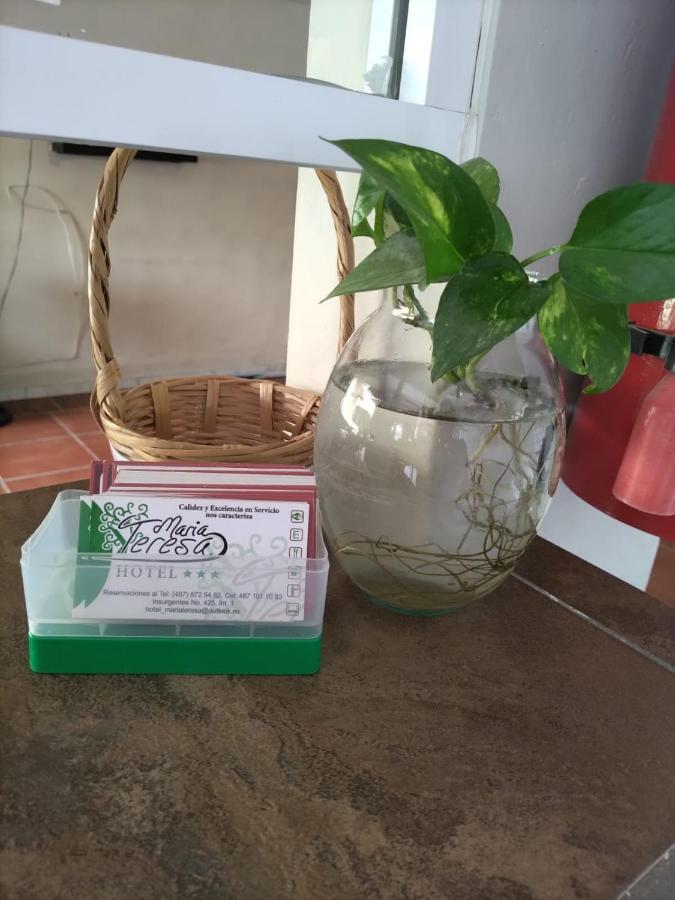 Hotel Maria Teresa Río Verde 外观 照片